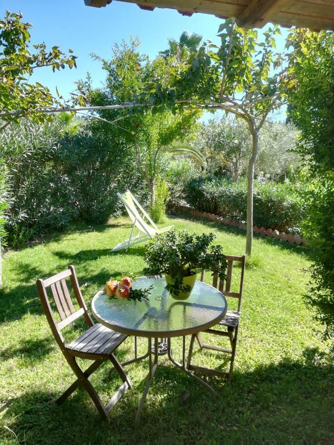 Muses Villas Финикунда Екстериор снимка